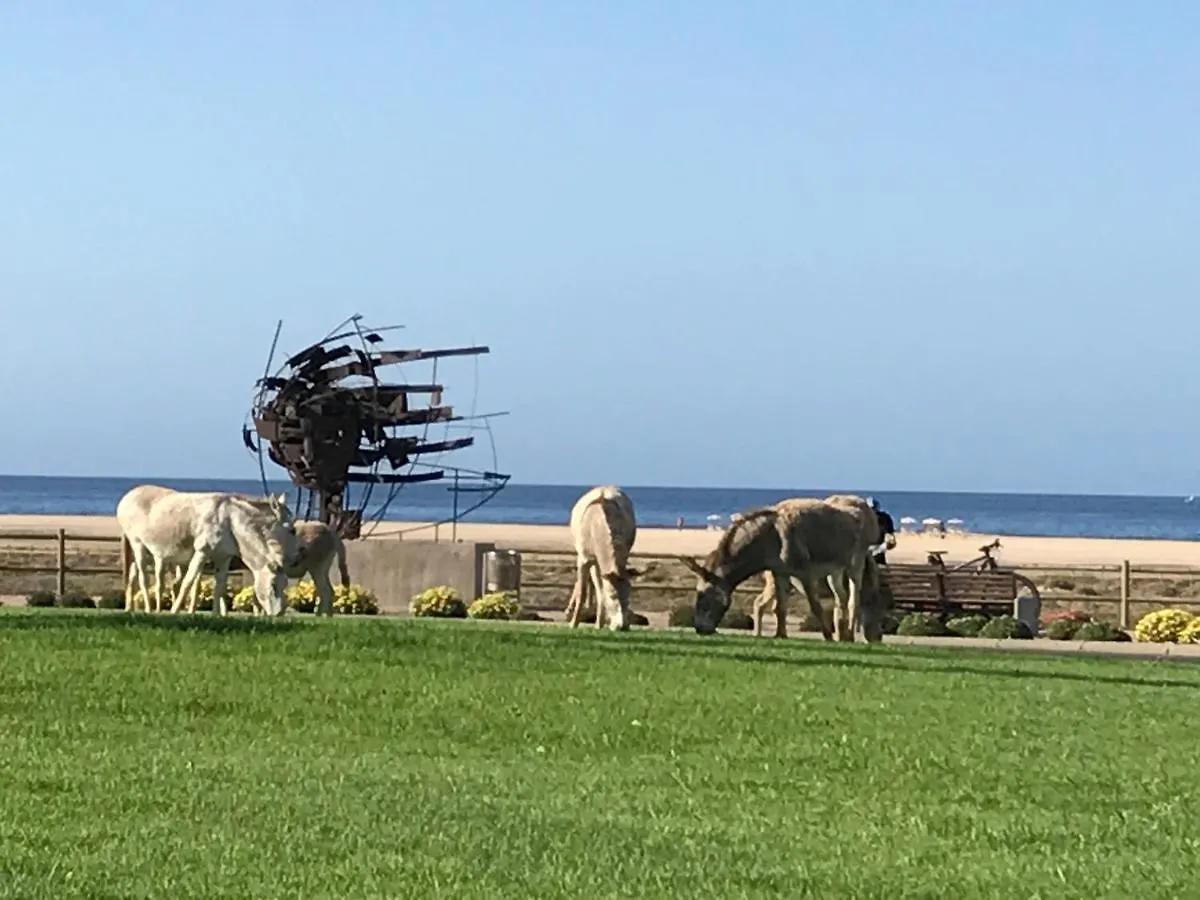 Holamigos Morro Jable Apartment 0*, Morro Jable (Fuerteventura) Spain
